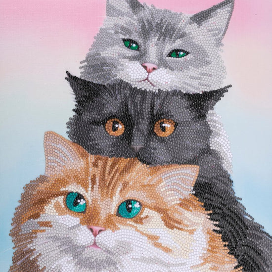 “Cats” Crystal Art Kit 30x30cm Front