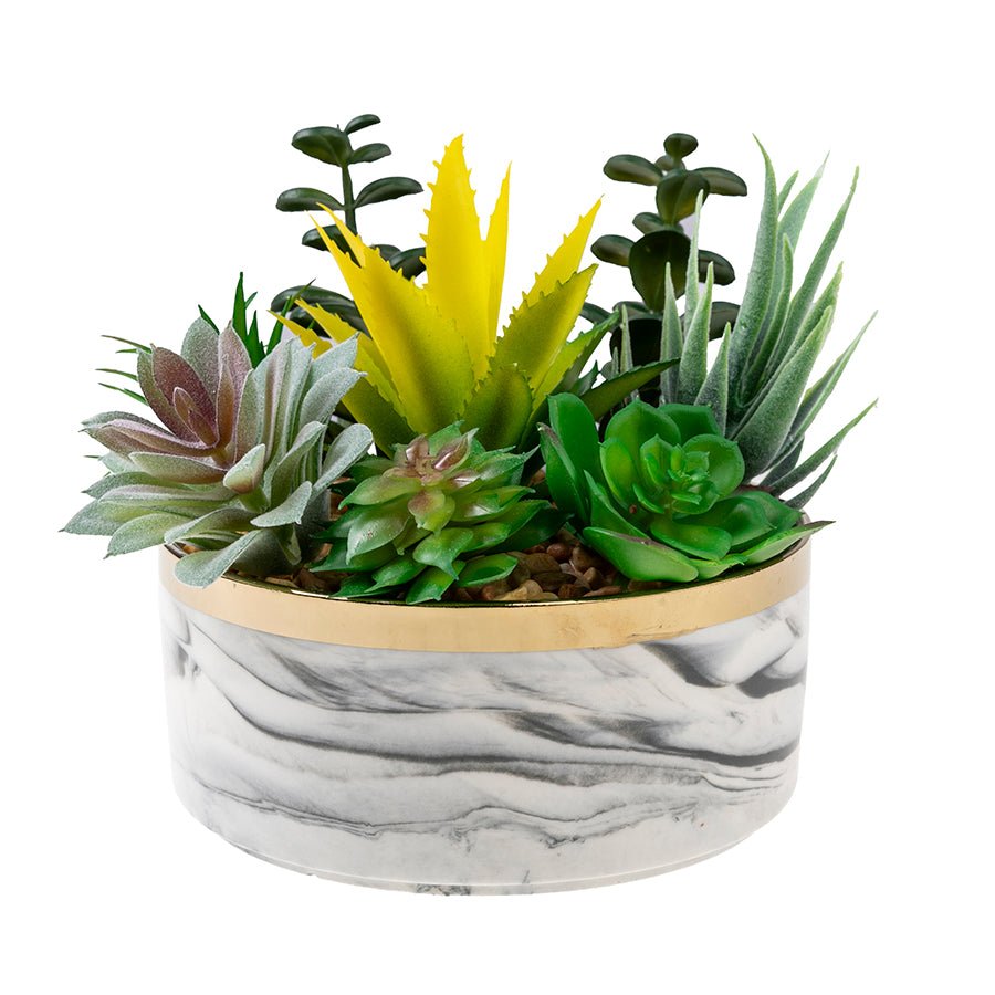 Forever Flowerz ceramic pot and succulents