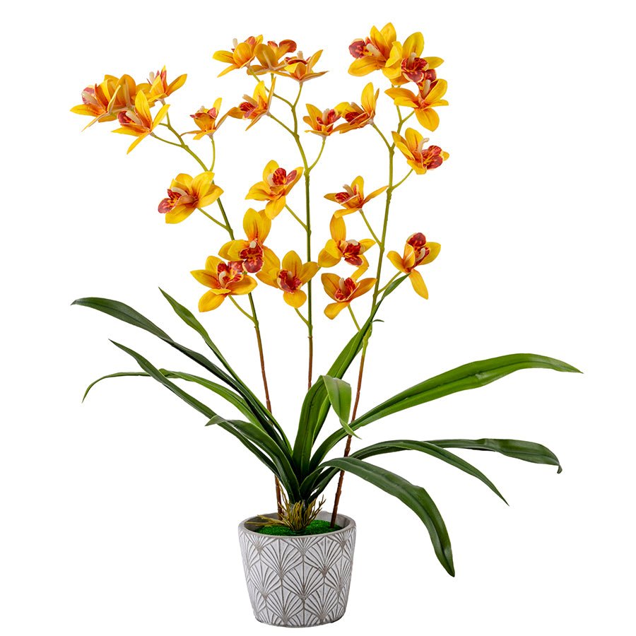 Forever Flowerz Cymbidium Orchid Single - Yellow