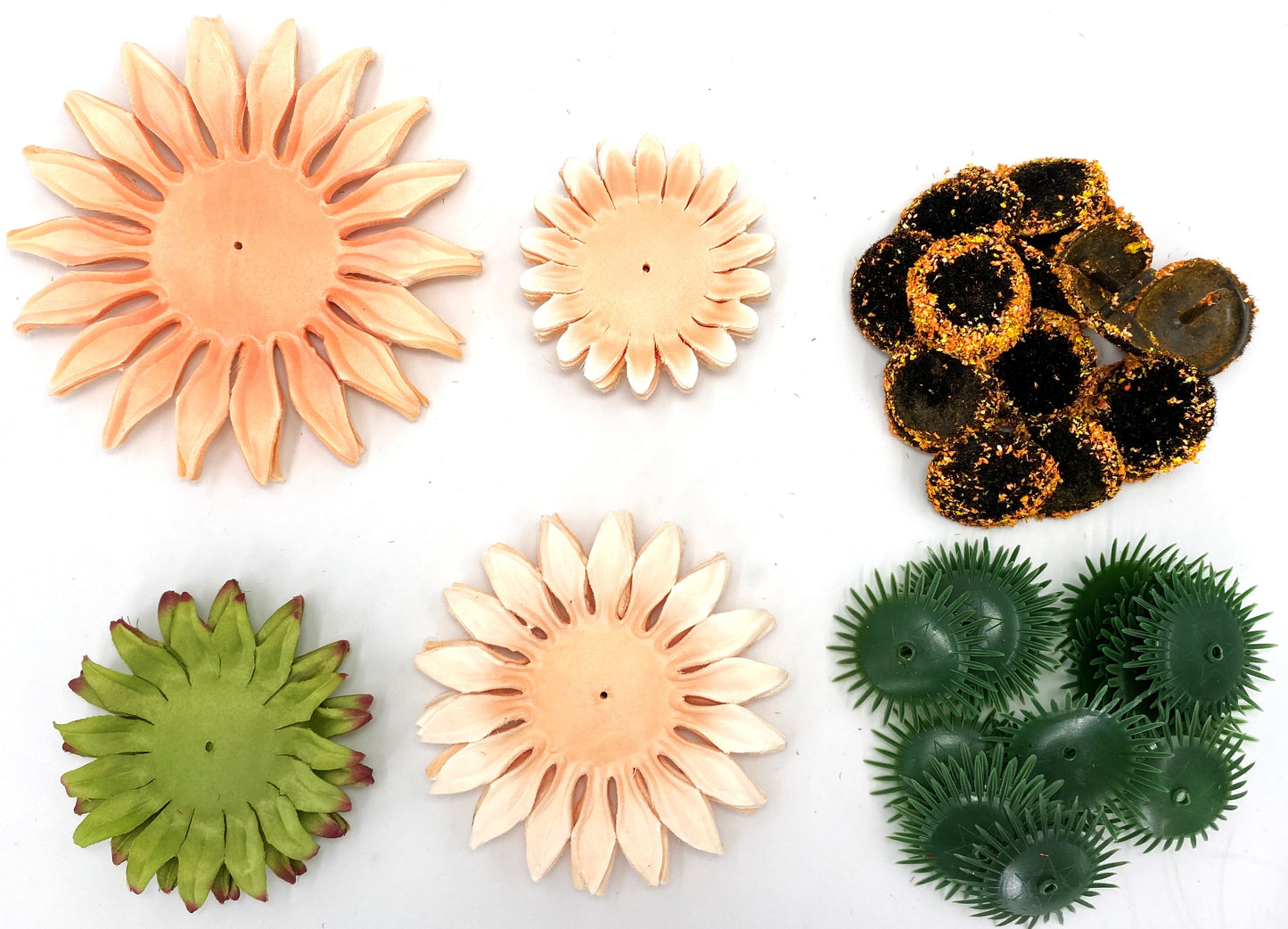 Forever Flowerz Premium Sunflowers Starter Kits approx 20