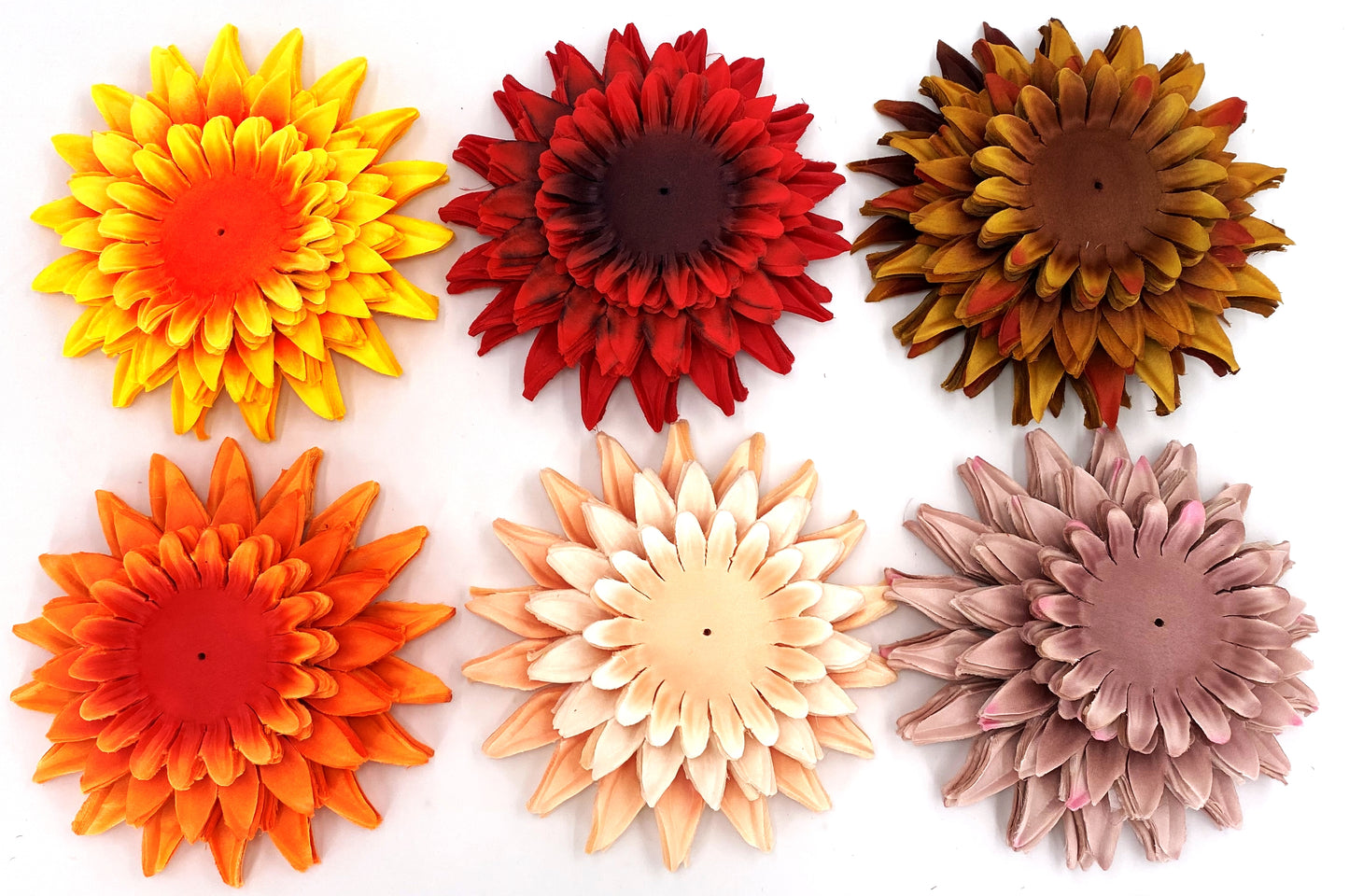 Forever Flowerz Premium Sunflowers Starter Kits approx 20