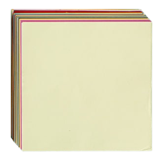 Craft Buddy 100 Sheets of 20 20cm Flower Paper