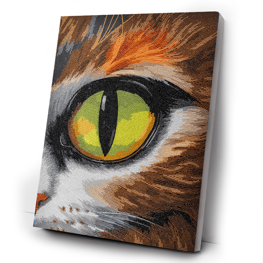Cat Eye Crystal Art Canvas Kit 40x50 complete2