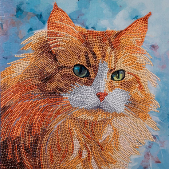 “Curious Cat” Crystal Art Kit 30x30cm Front