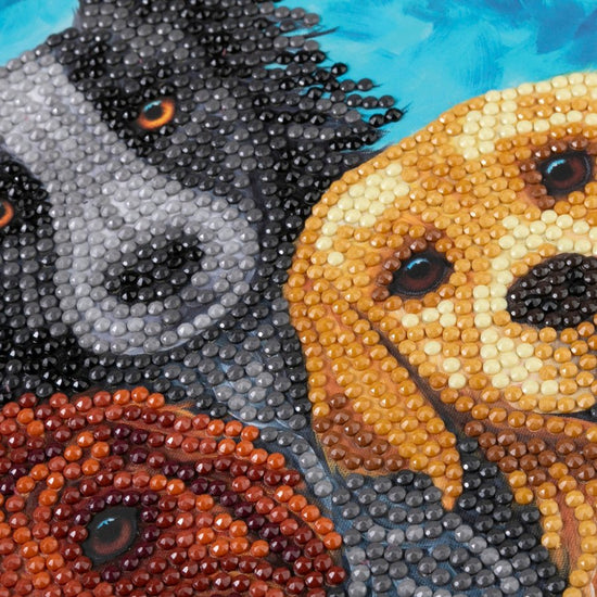 "Dog Portrait" Crystal Art Card Close Up