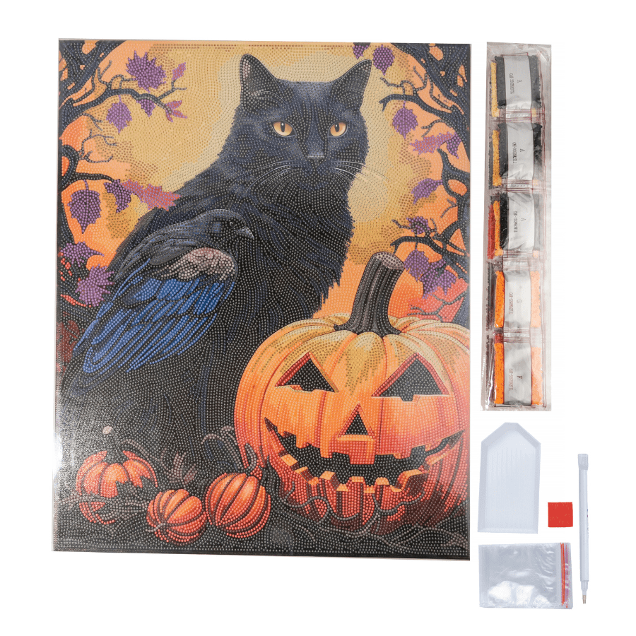 Halloween Cat Crystal Art Canvas Kit 40x50 4