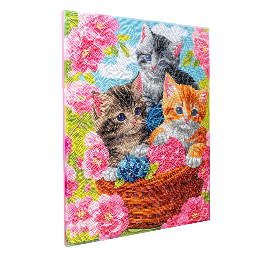 Playful Cats Crystal Art Canvas Kit 40x50cm