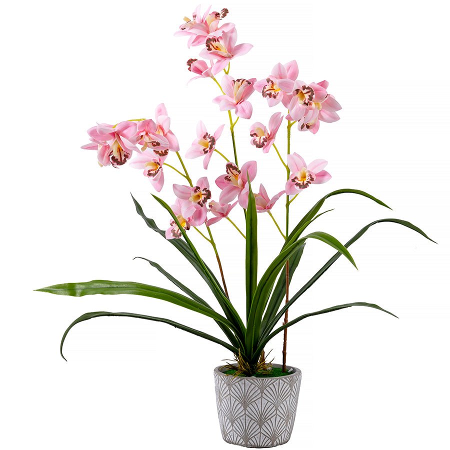 Forever Flowerz Cymbidium Orchid Single - Pink