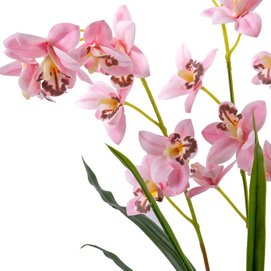 Forever Flowerz Cymbidium Orchid Single - Pink close up