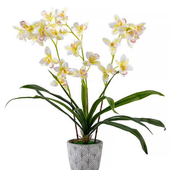 Forever Flowerz Cymbidium Orchid Single - White