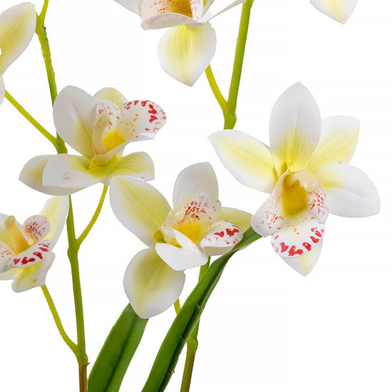 Forever Flowerz Cymbidium Orchid Single - White close up