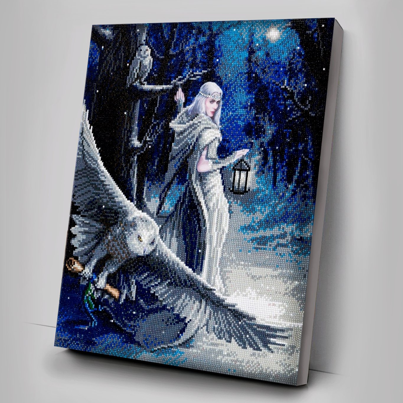 "Midnight Messenger" Crystal Art Canvas by Anne Stokes 40x50cm