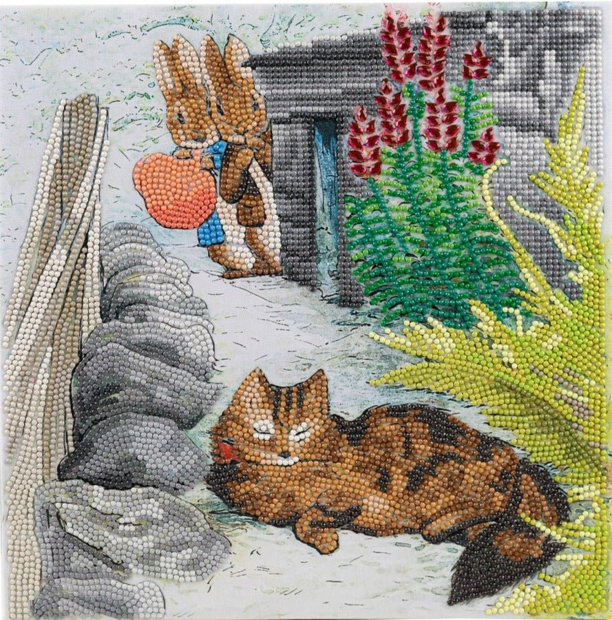 Playful Peter 30x30cm Crystal Art Kit