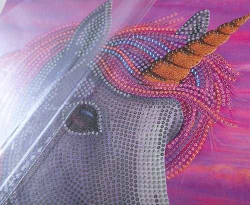 Unicorn Delights picture frame crystal art 21 x 25cm by Rachel Froud Close Up