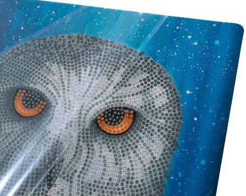 Snowy Owl By Night Picture Frame Crystam Art 21 x 25cm By Rachel Froud Close Up