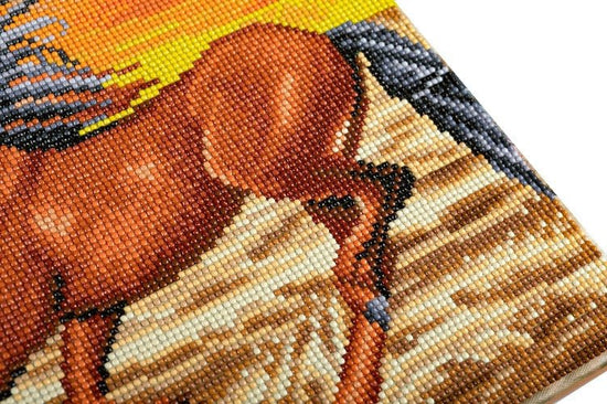 "Horse on the Run" Crystal Art Canvas Kit 30x30cm