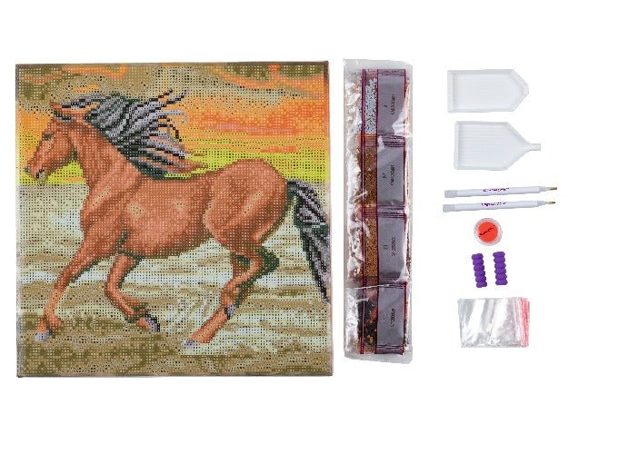 "Horse on the Run" Crystal Art Canvas Kit 30x30cm