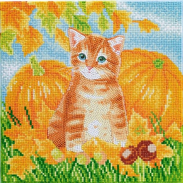 Autumn cat crystal art kit