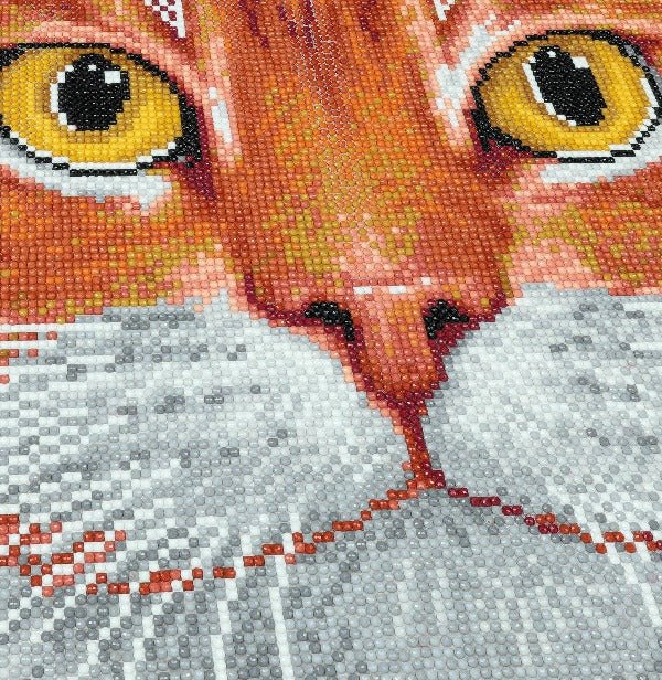 "Ginger Cat Face" Crystal Art 30x30cm Cushion Kit
