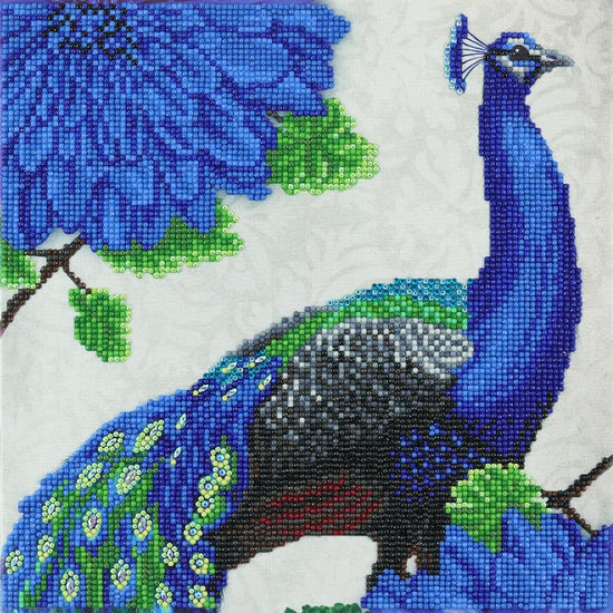 Peacock crystal art canvas kit