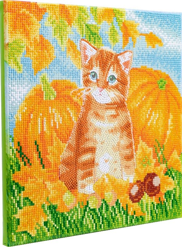 Autumn cat crystal art kit side view