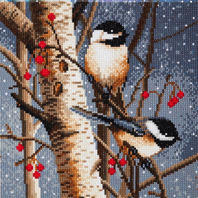 "Woodland Sprites" Crystal Art Canvas Kit 30x30cm