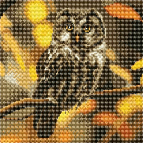 "Tawny Owl" Crystal Art Canvas Kit 30x30cm