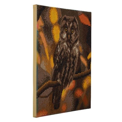 "Tawny Owl" Crystal Art Canvas Kit 30x30cm