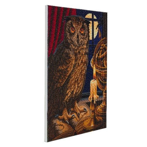 "The Astrologer Owl" Framed Crystal Art Kit 40x50cm