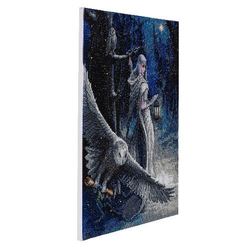 "Midnight Messenger" Crystal Art Canvas by Anne Stokes 40x50cm