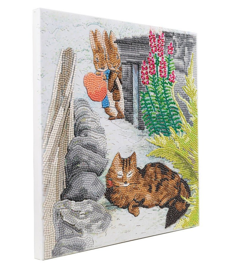 Playful Peter 30x30cm Crystal Art Kit