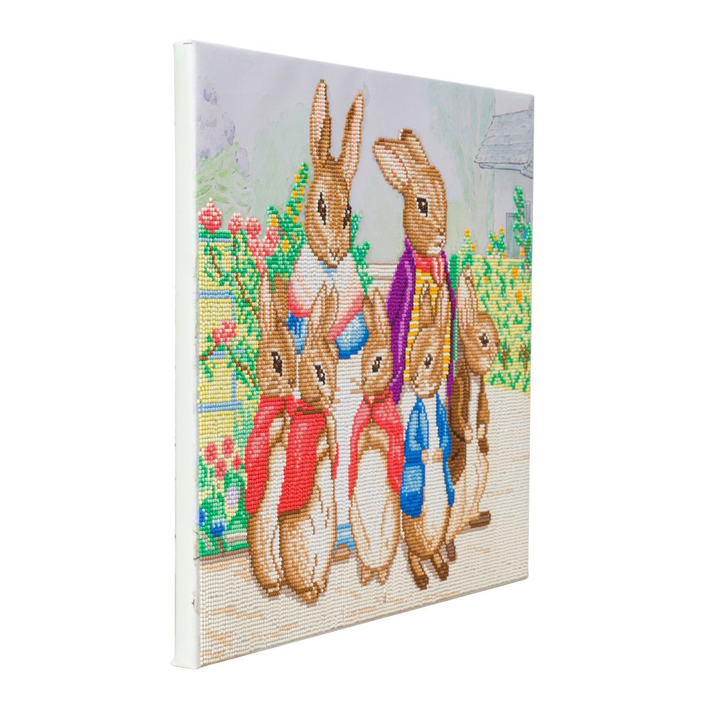 "Peter Rabbit and Family" Crystal Art Canvas 40x50cm
