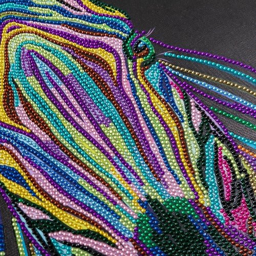 'Rainbow Zebra' 40x50cm Crystal Art Kit - Complete Close Up