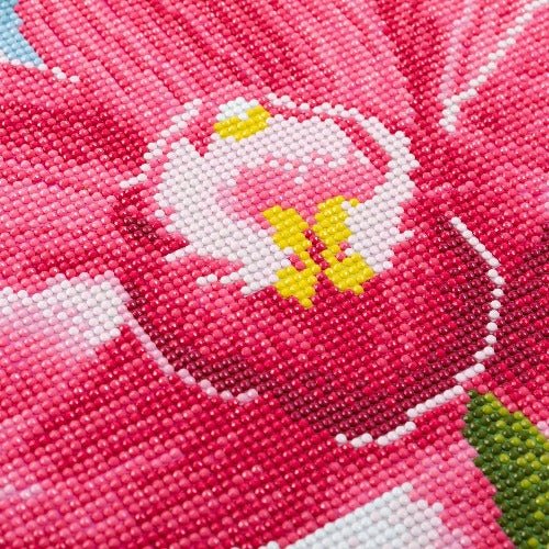 'Blooming Orchids' 40x50cm Crystal Art Kit - Complete Close Up