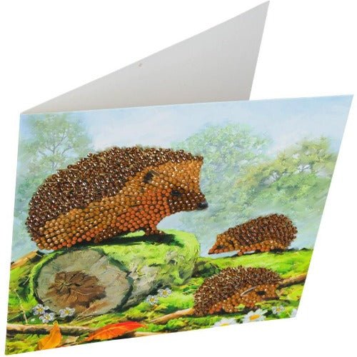 "Happy Hedgehog" Crystal Art Card 18x18cm
