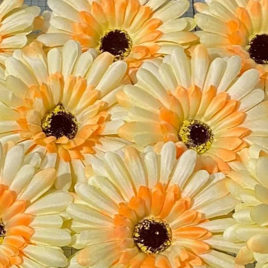 Forever Flowerz Gorgeous Gerberas Refill Packs - approx 15 flowers