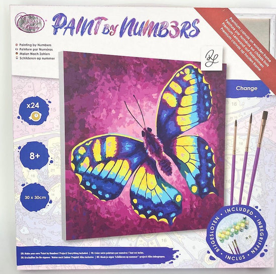 "Change" Paint by Numbers Framed Kit Rachel Froud 30x30cm