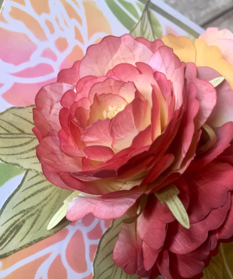 Forever Flowerz: Perfect Peonies Die Set - FD07