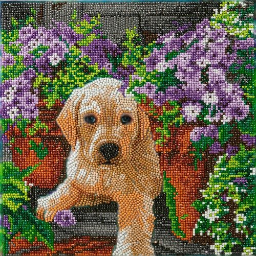 Floral pup crystal art kit