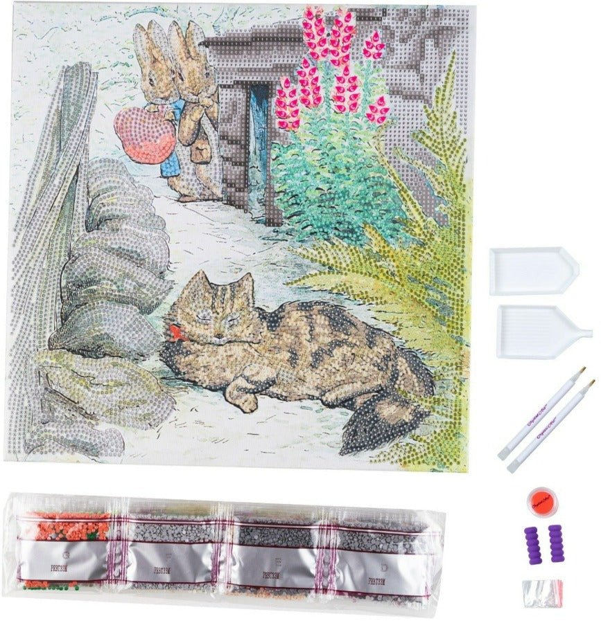 Playful Peter 30x30cm Crystal Art Kit
